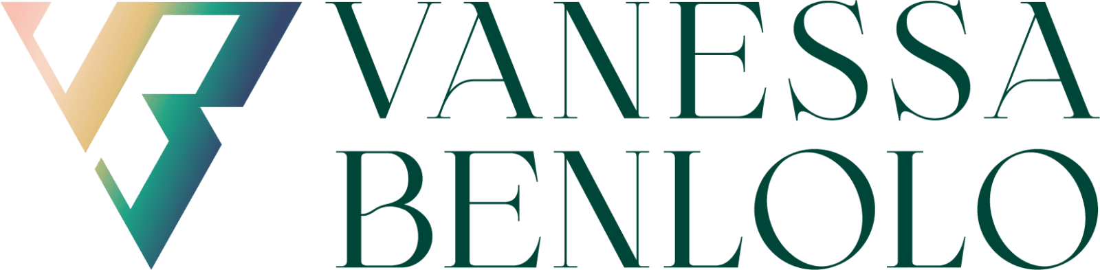 vb landscape logo (dark) 8