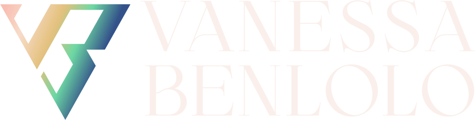 vb landscape logo (light) 8